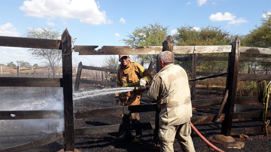 Read more about the article Área de vegetação e pasto são atingidos por incêndio na zona rural de Iguatu