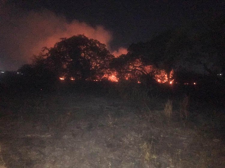 Incêndio atinge terreno do Condomínio Espiritual Uirapuru próximo à Arena Castelão