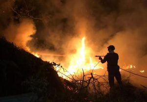 Read more about the article Bombeiros combatem incêndios em vegetação em diversos bairros de Uberaba