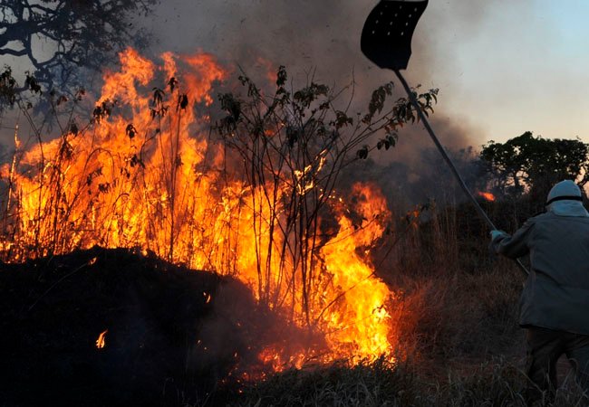You are currently viewing Amazônia tem pior mês de junho em 13 anos por incêndios florestais