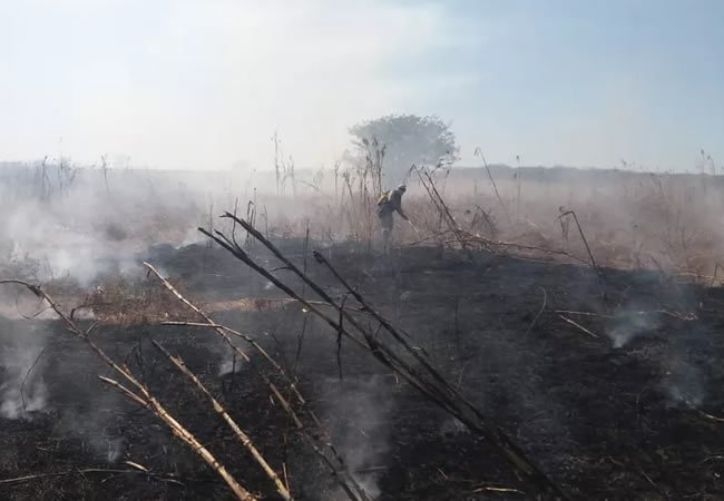 Read more about the article Incêndio atinge cerca de 80 hectares de vegetação na zona rural de Iguatu, no Ceará