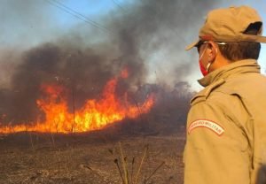 Read more about the article Bombeiros combatem incêndios em vegetação em quatro municípios das regiões Norte e Inhamuns