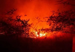 Read more about the article Bombeiros utilizam 5 mil litros de água para combater incêndio em vegetação registrado em Tabuleiro do Norte