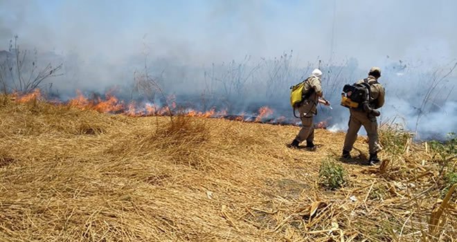 You are currently viewing Ceará: Em apenas uma semana, outubro já tem quase 50% do número de incêndios registrados em setembro