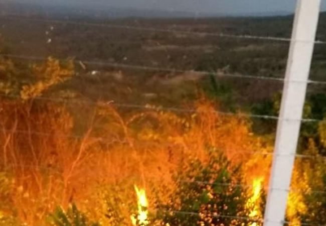 Read more about the article Área de vegetação é atingida por incêndio em bairro do município de Barbalha, no Ceará