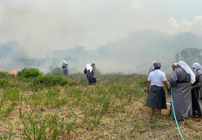 Read more about the article Monjas tentam apagar fogo em vegetação no Dias Macedo